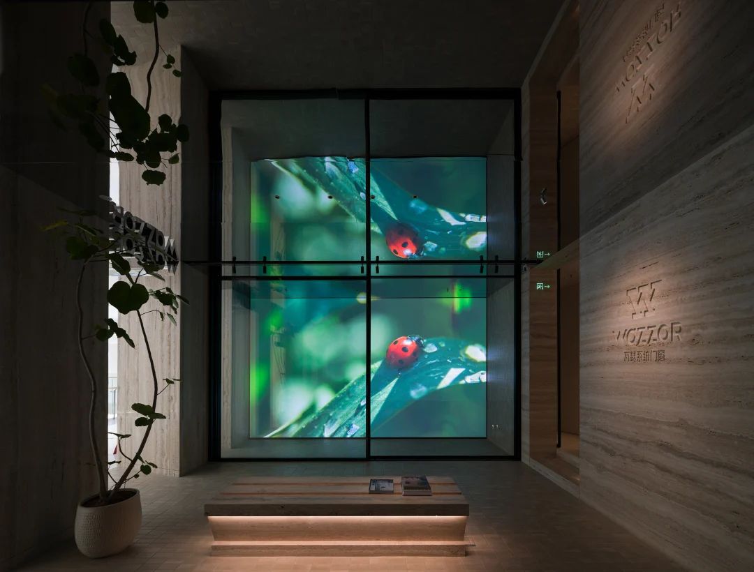 Media window and showroom route at Wazzor