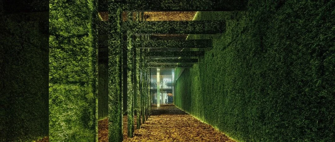 The Vanishing Architecture project by Wei Shineng